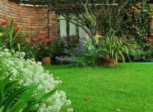Sussex Gardens
