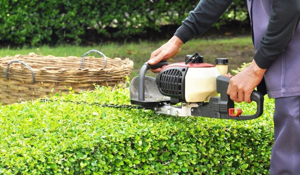 Gardener Handyman