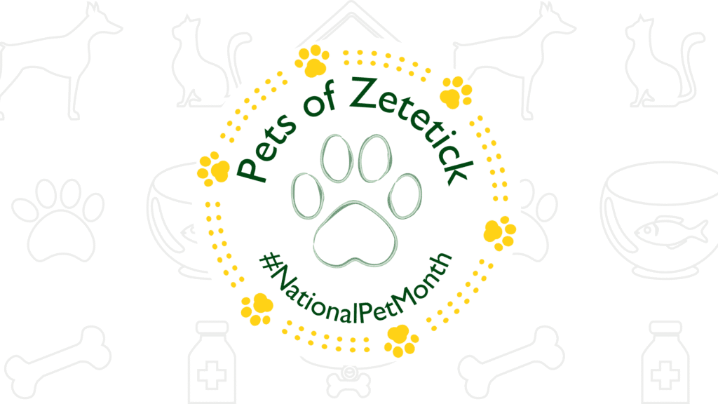 National Pet Month